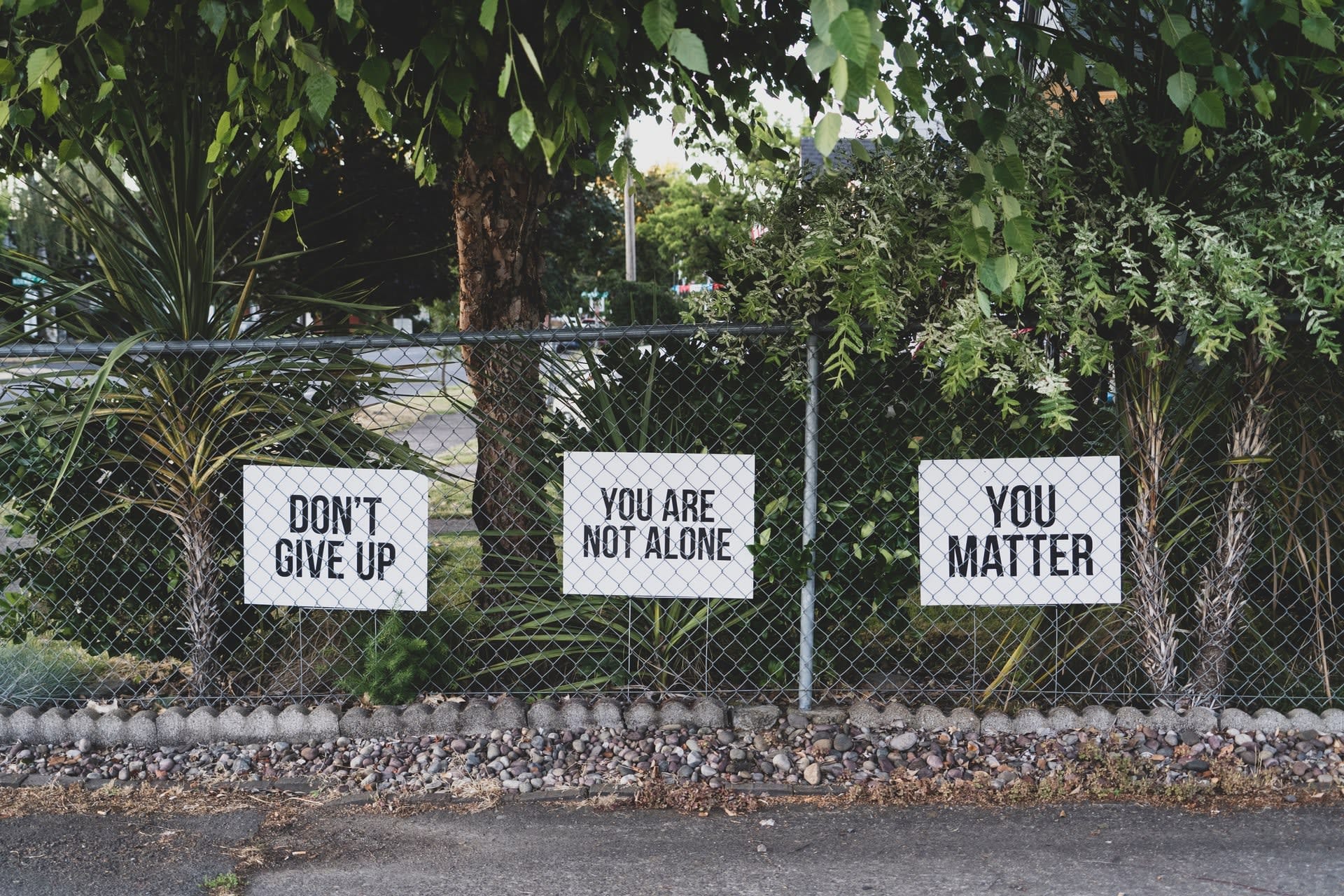 Ambivalence and its role in alcoholism and rehabilitation