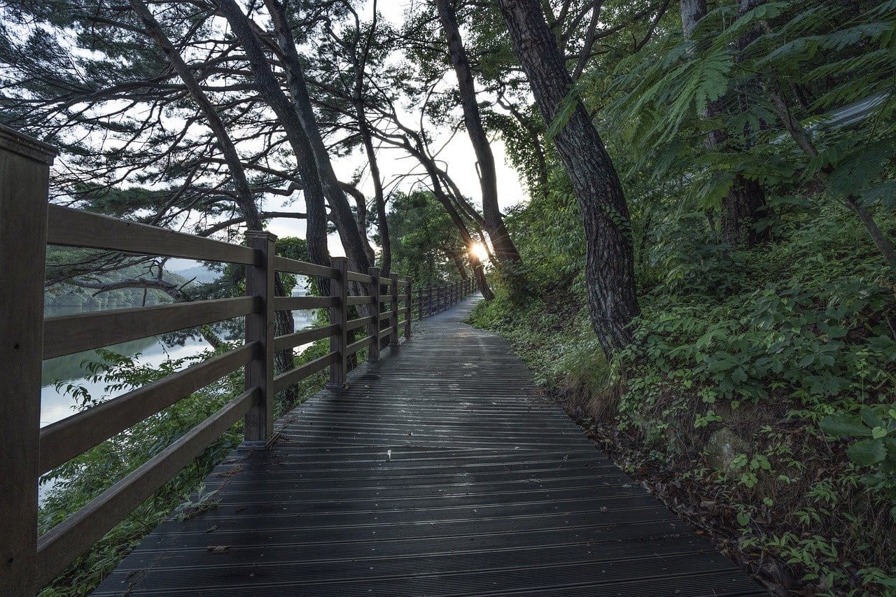 How COVID-19 Changed my Counselling Practice