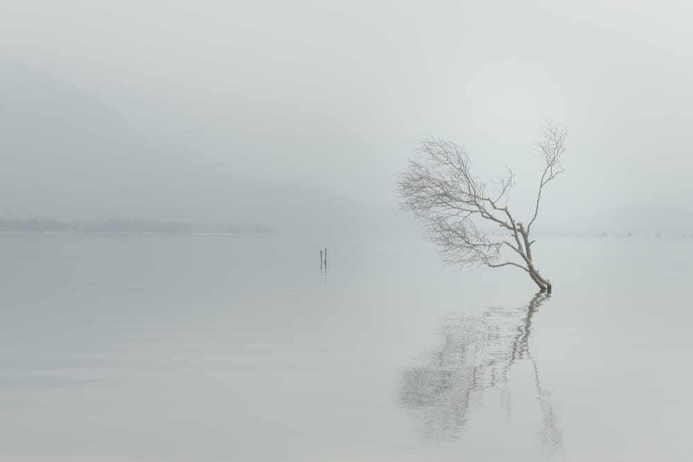 Listen To My Silence...