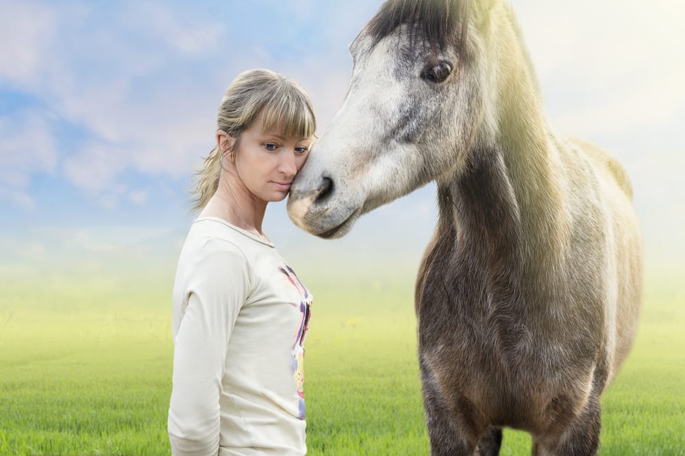 Equine  Assisted EMDR