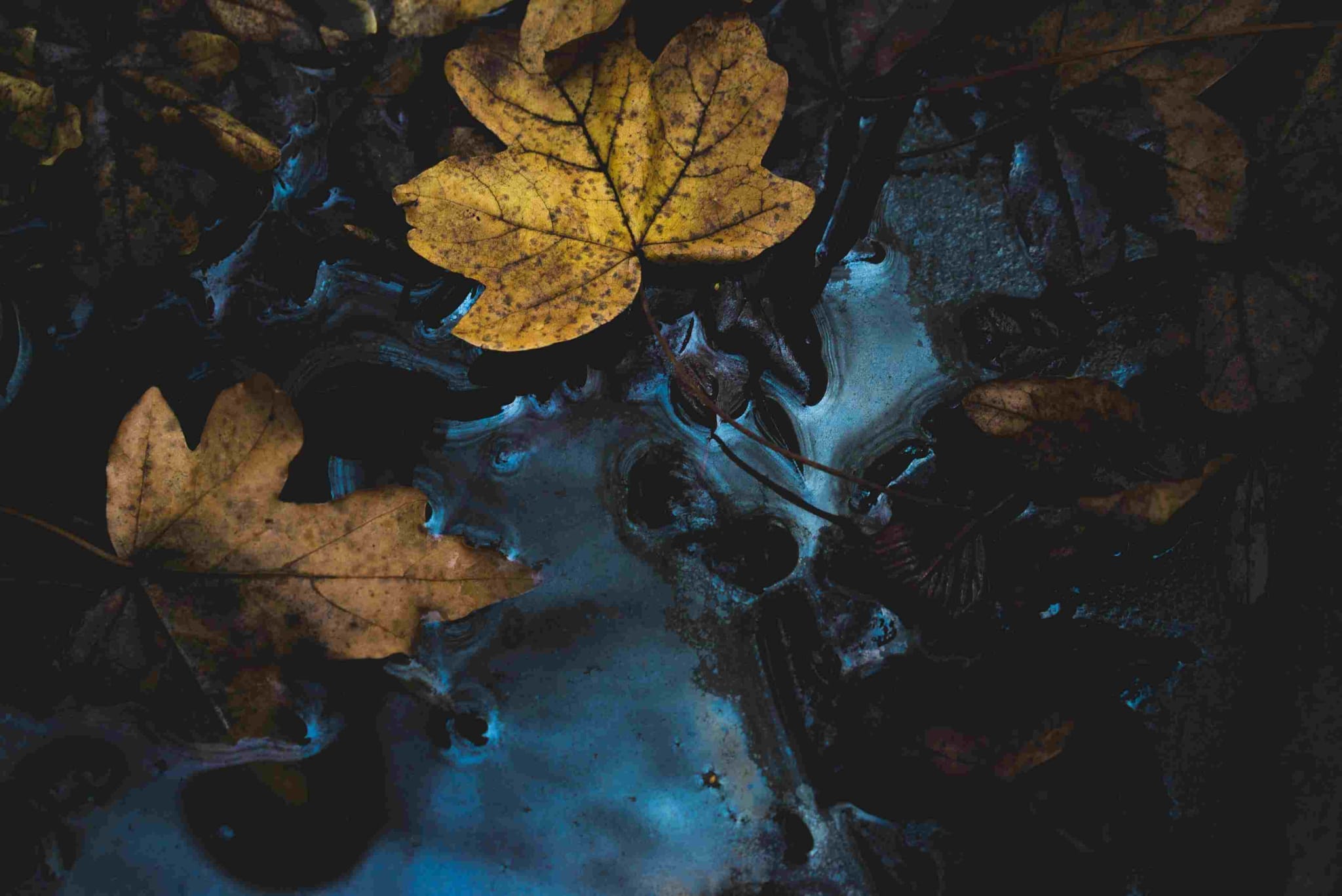 What I learnt from Leaving Neverland documentary