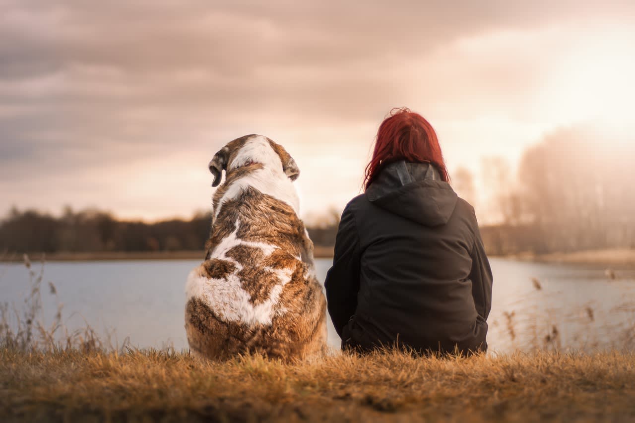 Dog and lady sitting