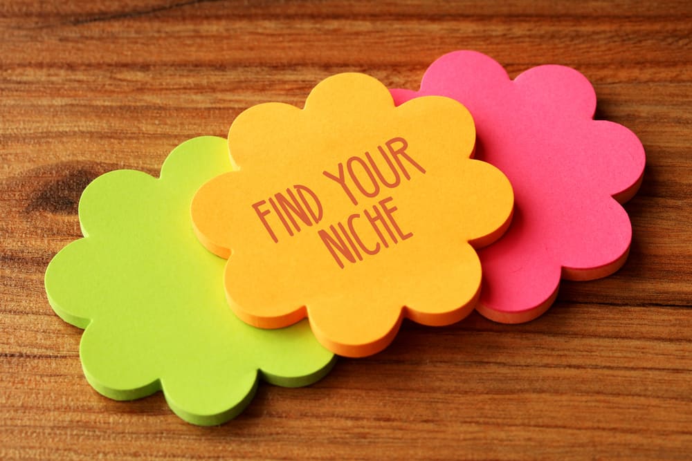 Find your niche and monetize it in clinical private practices