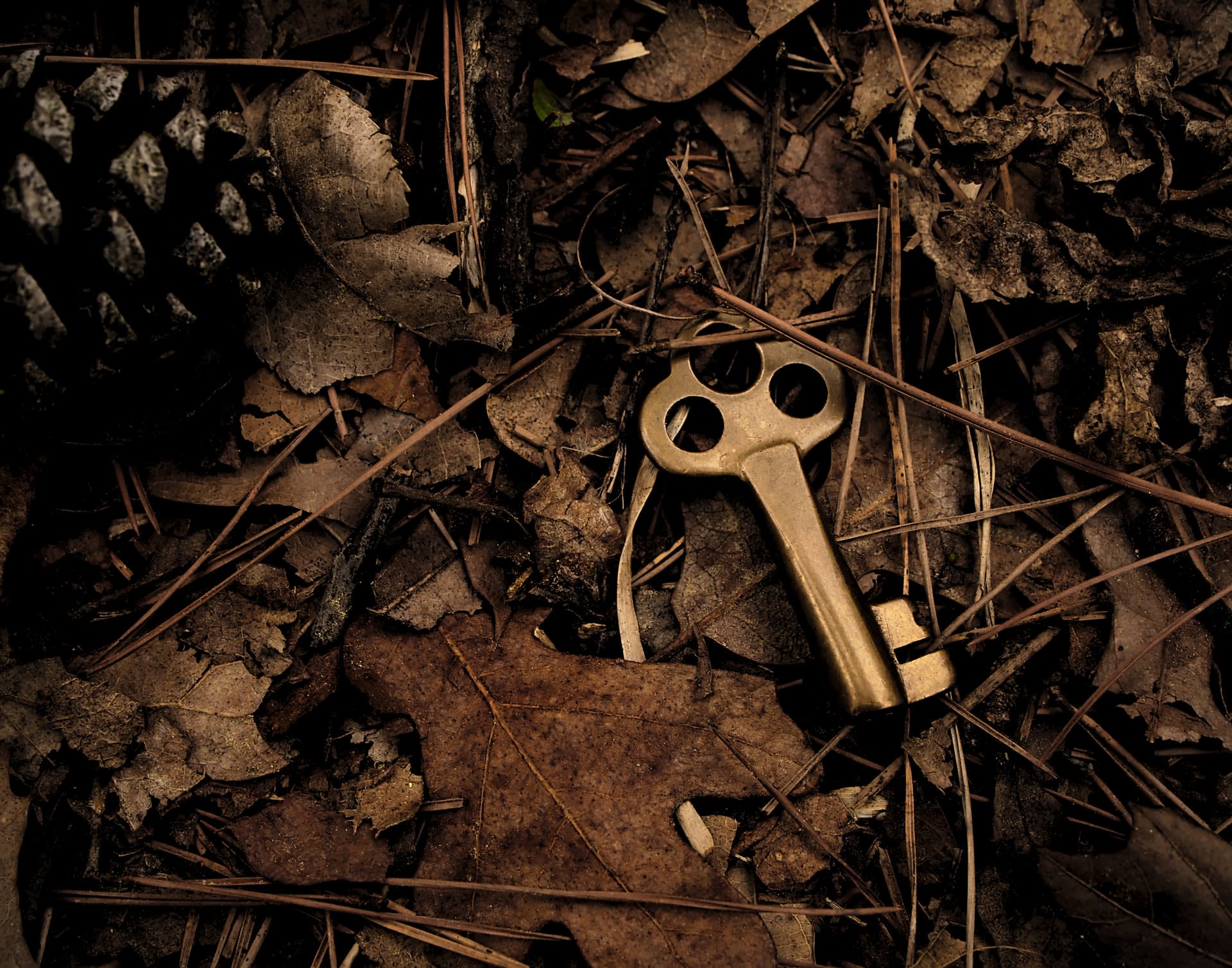 Part 5 - Help Your Mini-Site Get Found
