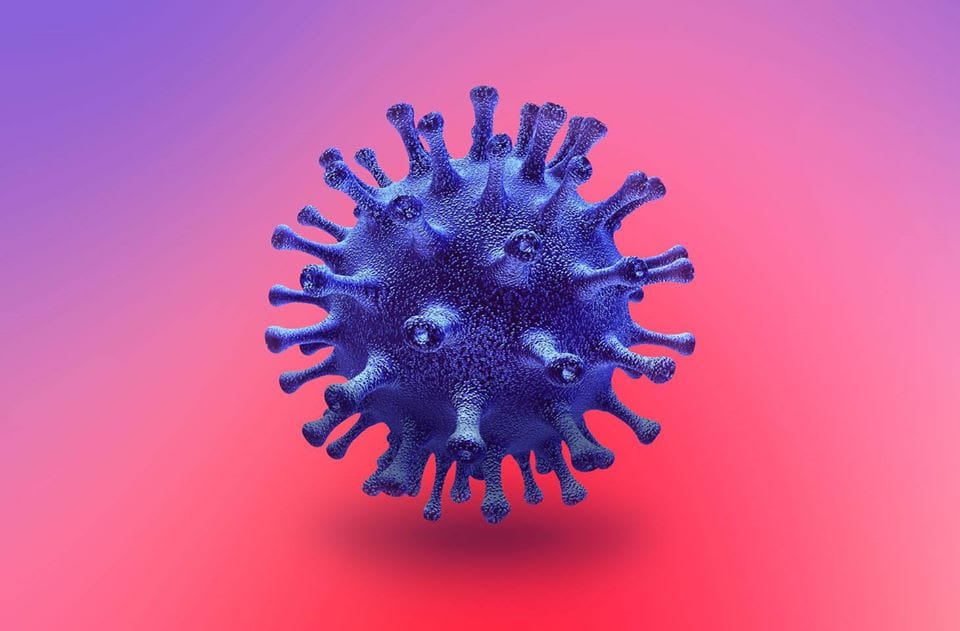 The Coronavirus