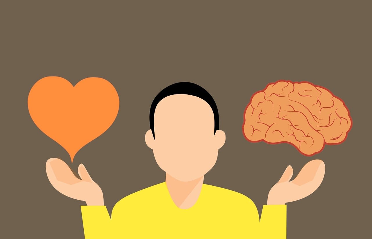 Attachment, Trauma and Neuroscience Research