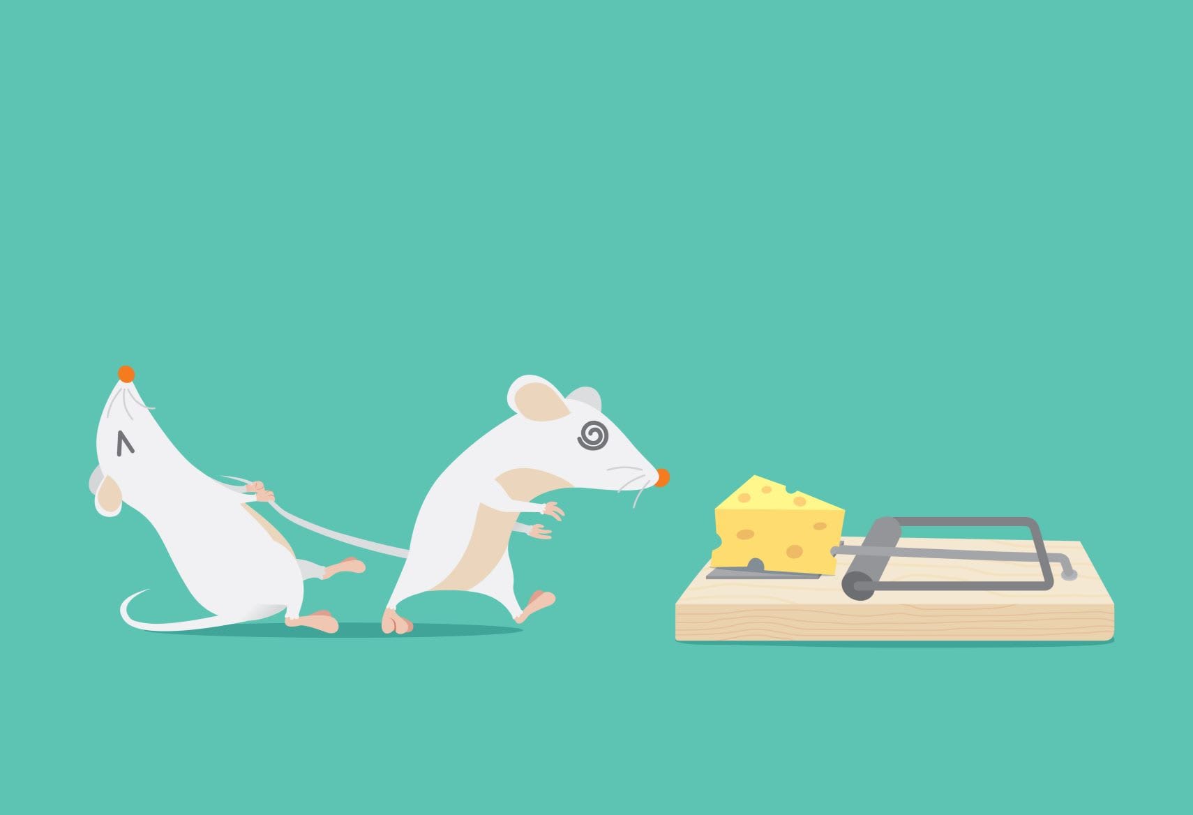 The early bird gets the worm. The second mouse gets the cheese    — Steve Wright