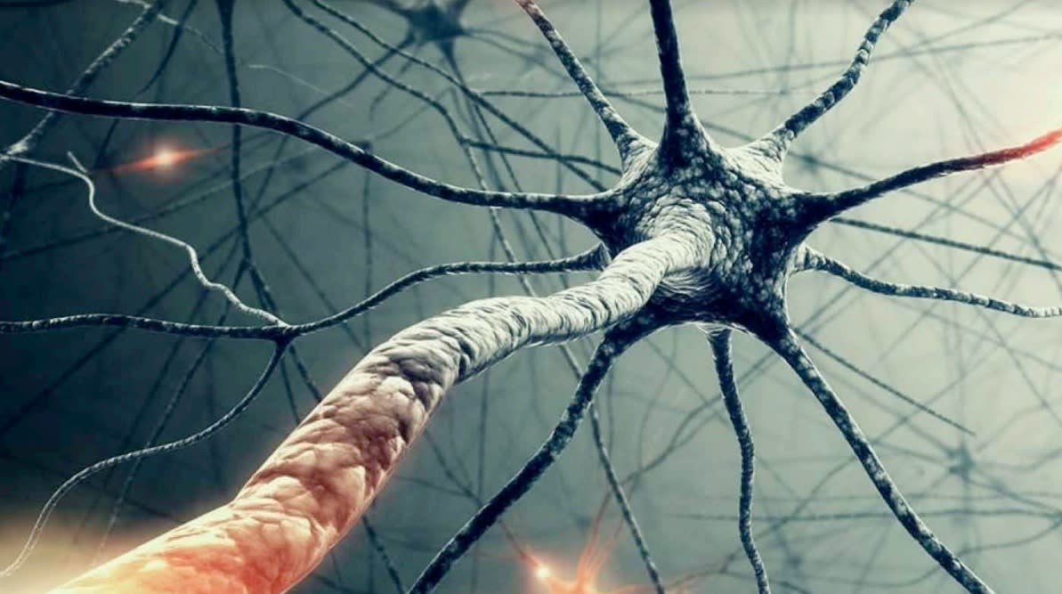 Brain-Based Views on Psychotherapy Integration: Clinical Biopsychology