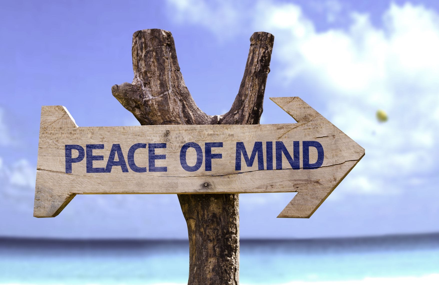 COVID-19 - Disconnect From Fear and Reconnect to Vibrant Health