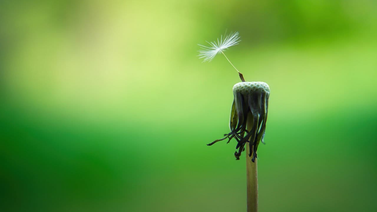 Our current infatuation with mindfulness warrants that we guard against becoming too comfortable among the clouds.
