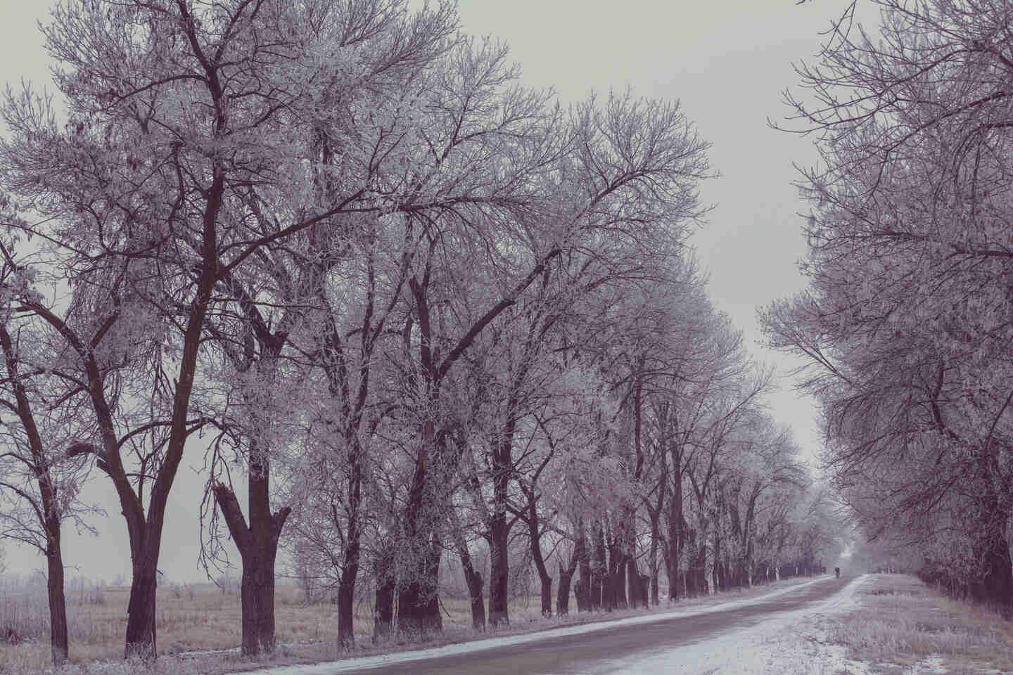 Loneliness affects our thoughts, our feelings and our routines in life.