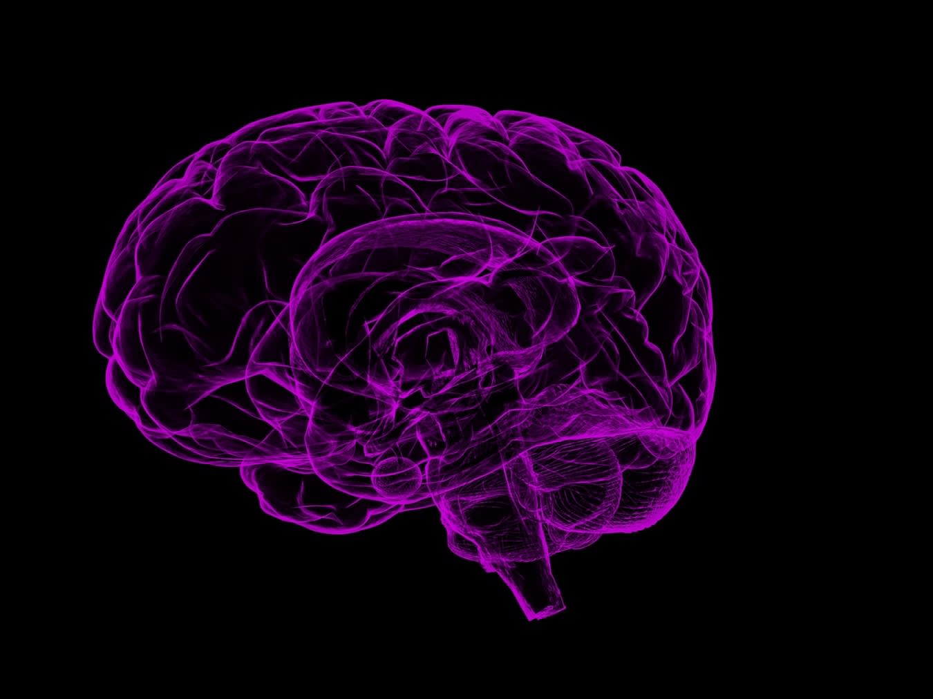 What Makes the Human Brain Human