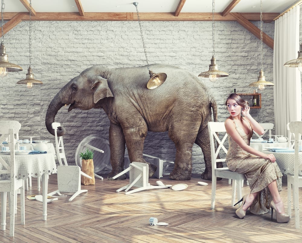 Scope of practice and the elephant in the room