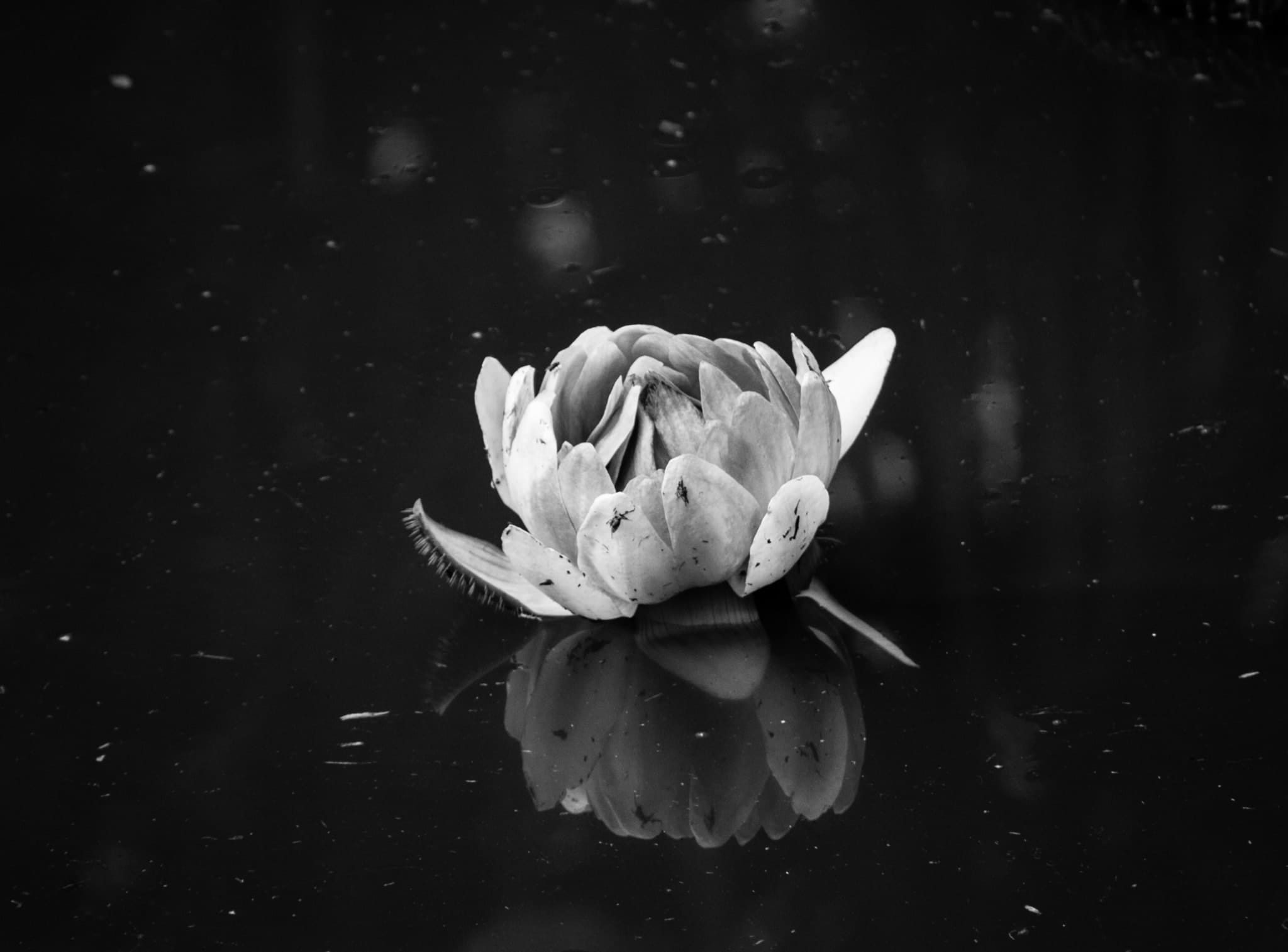Mindfulness Meets Psychoanalysis: Inquiring Deeply About “SELF”